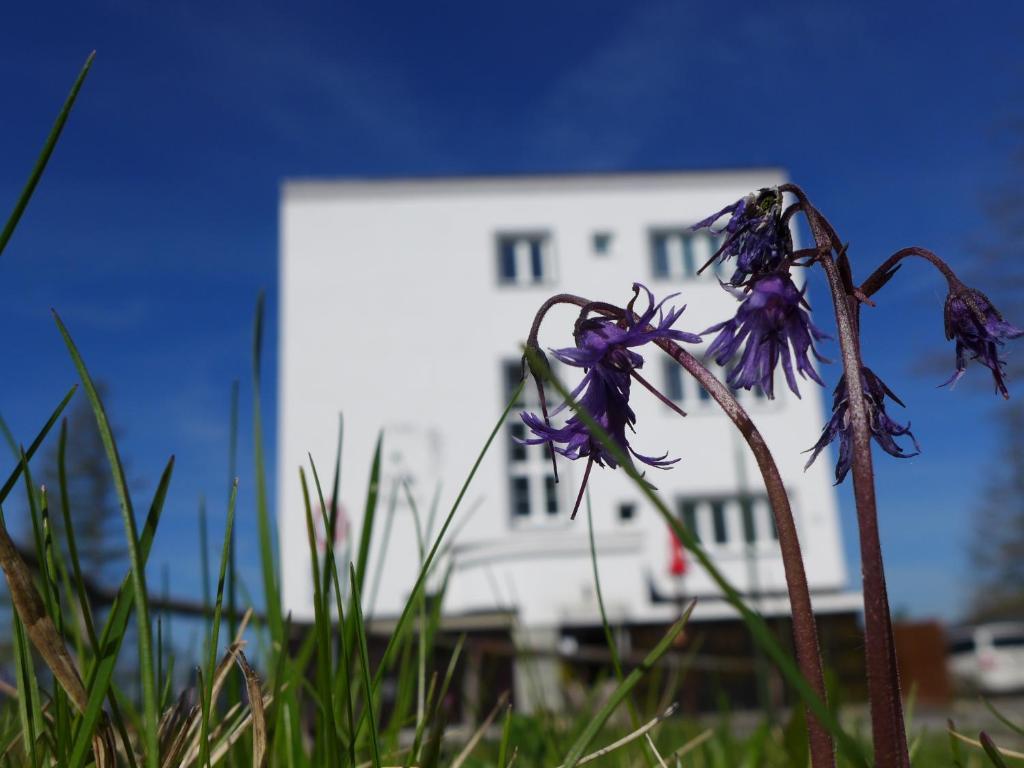 Vila Emma Strbske Pleso ภายนอก รูปภาพ