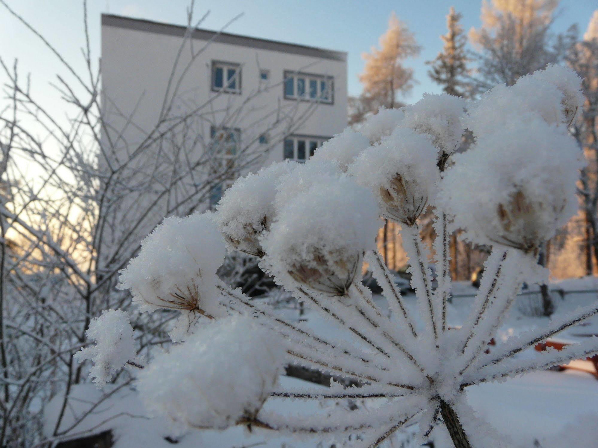 Vila Emma Strbske Pleso ภายนอก รูปภาพ